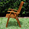 High Gloss Teak Chair