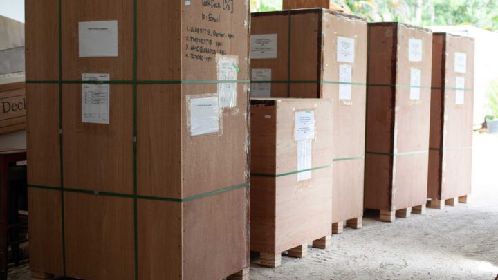 New Teak Shipment